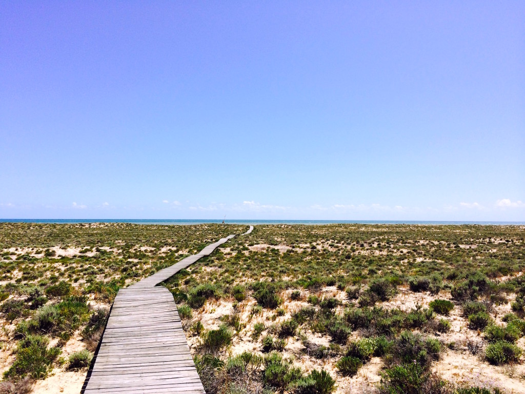 ilha deserta