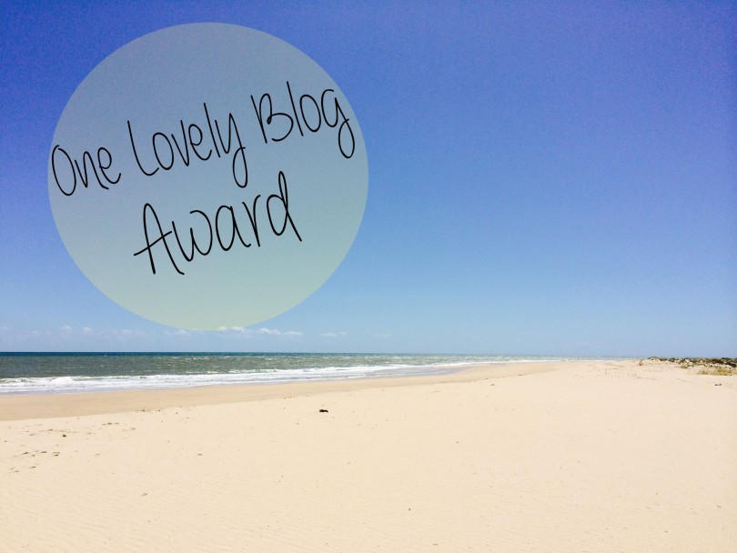 one lovely blog award