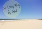 one lovely blog award